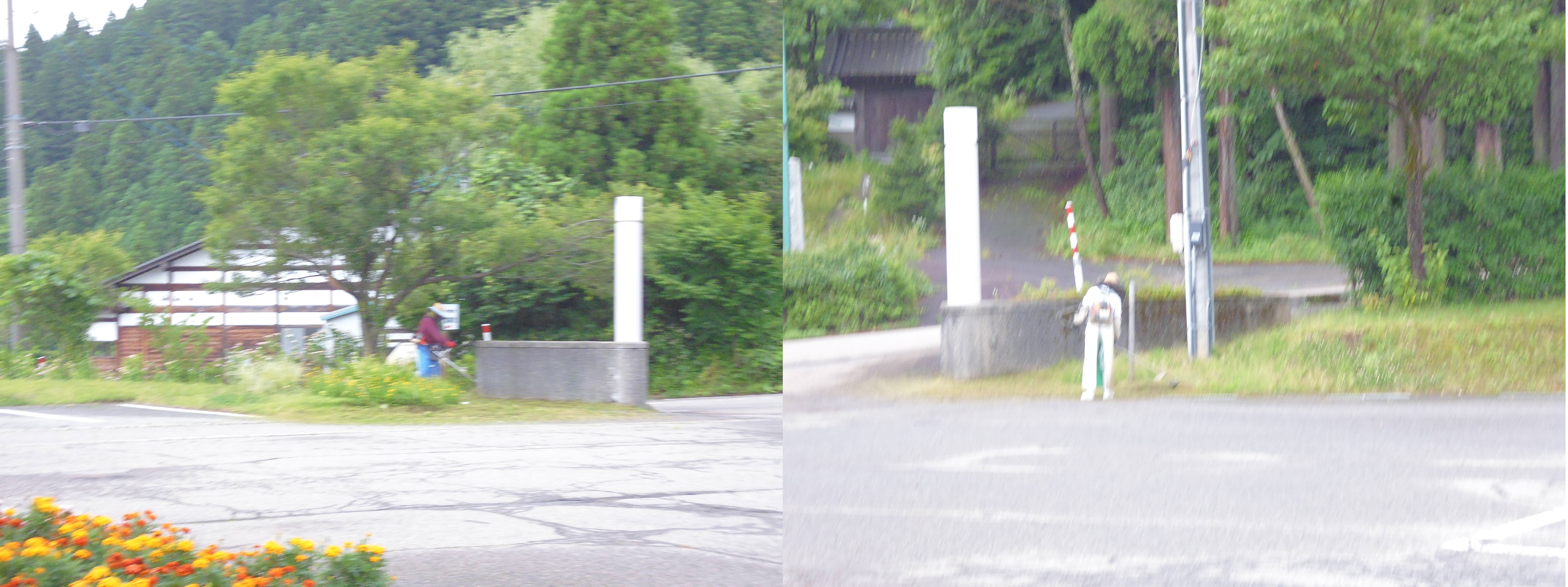 明るい社会づくり　除草