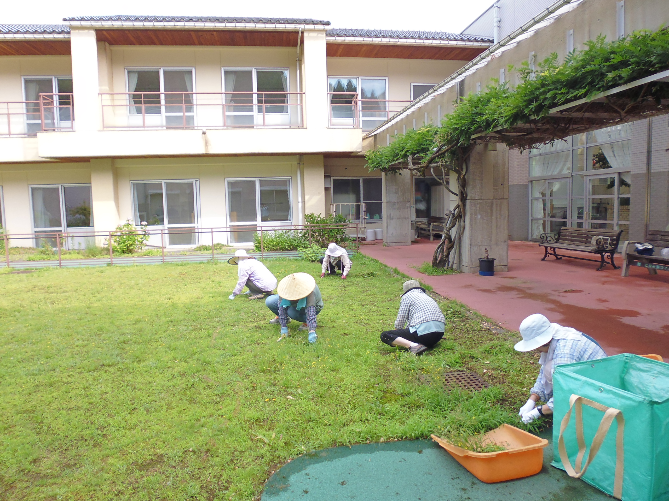 和と輪の会（除草）