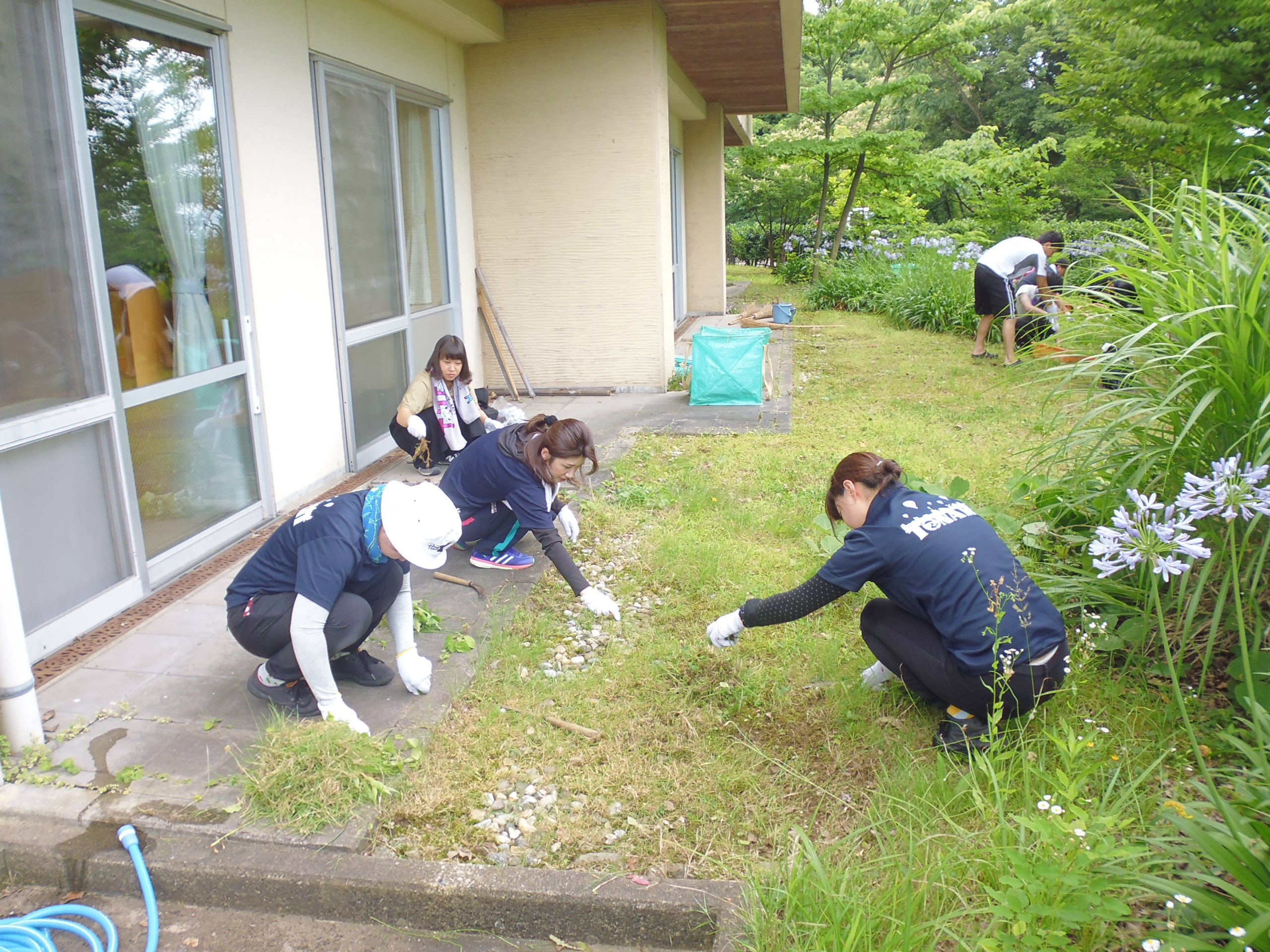若樹会（除草）